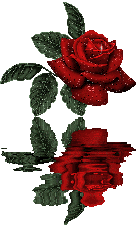 Une Rose de la Tombe d'Homère  dans Amour (119) n328l74p
